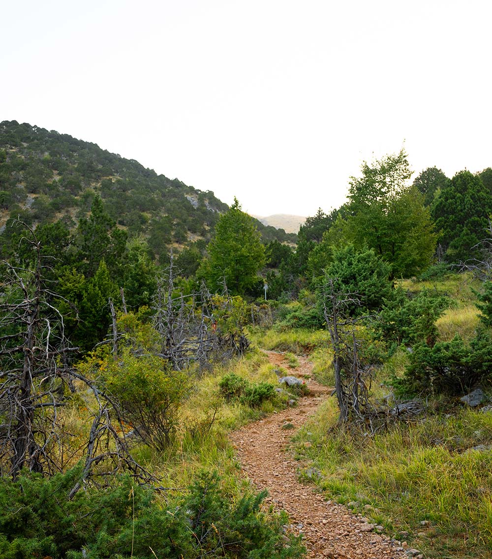 Timfi's Dragonlake Trail